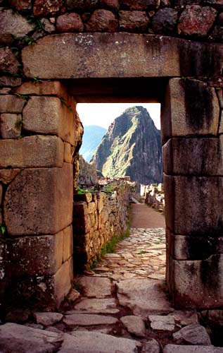 MASS HAPPINESS-PHASE ONE-CLICK HERE